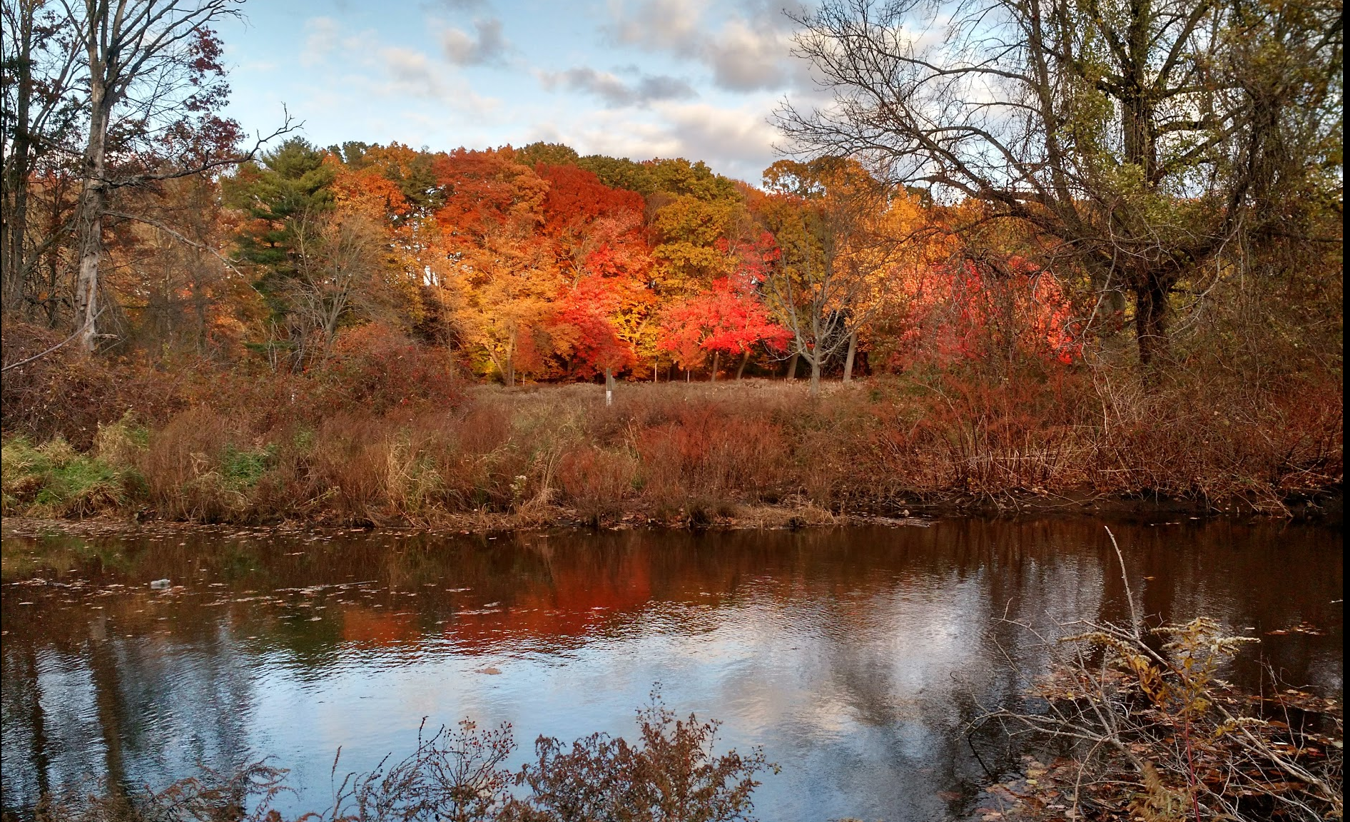 Screen Shot 2019-09-29 at 3.28.14 PM